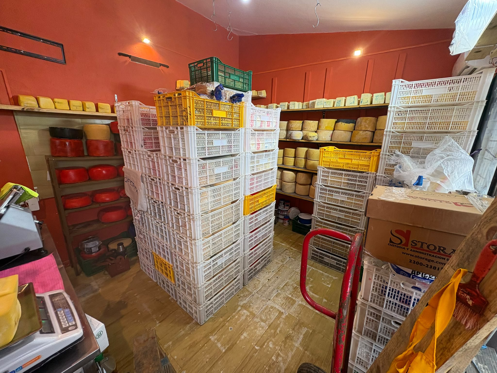 Bodega de quesos de Paso Carrasco, con enorme stock y variedad de quesos